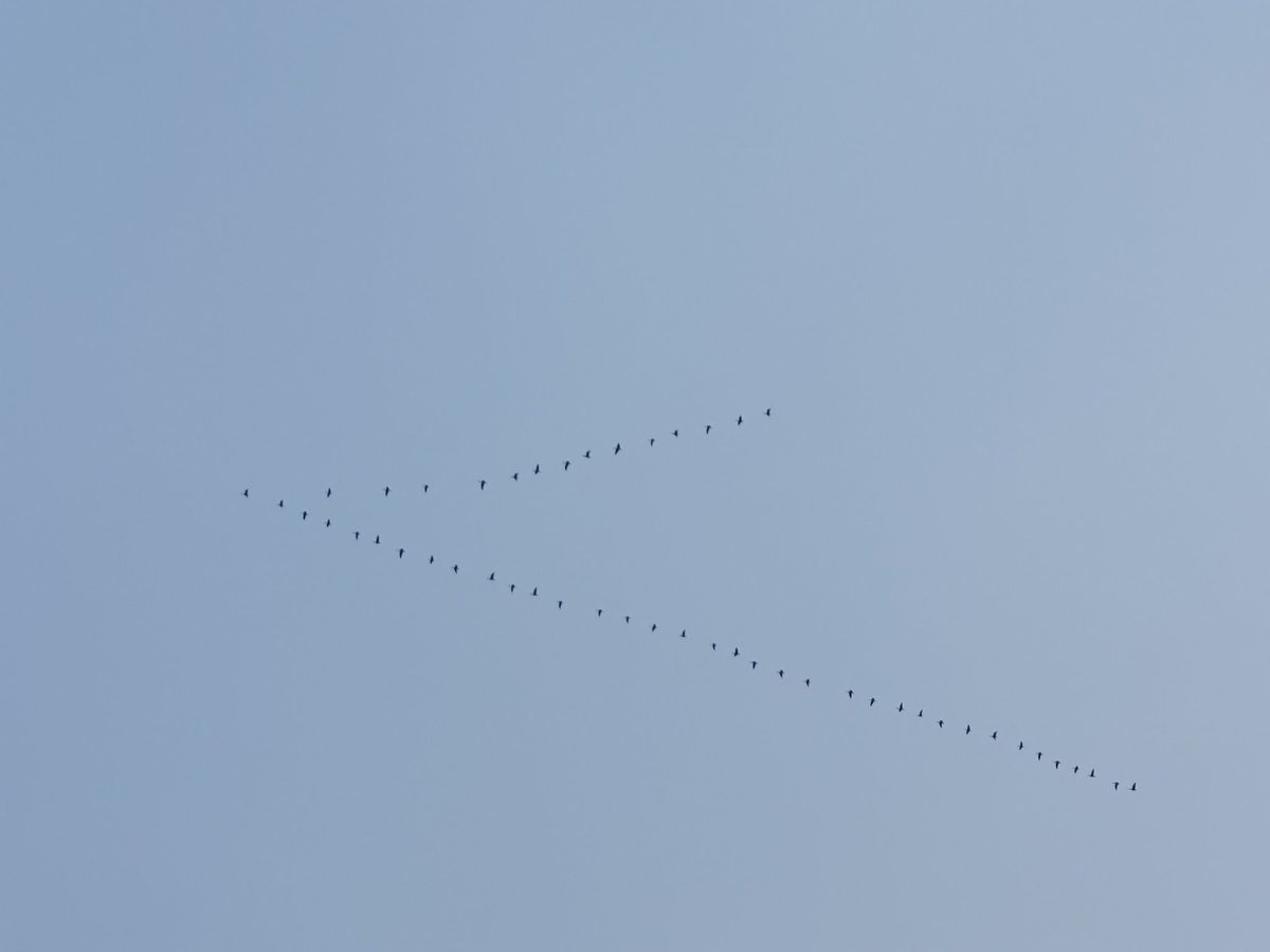 RAII обёртка tweet media