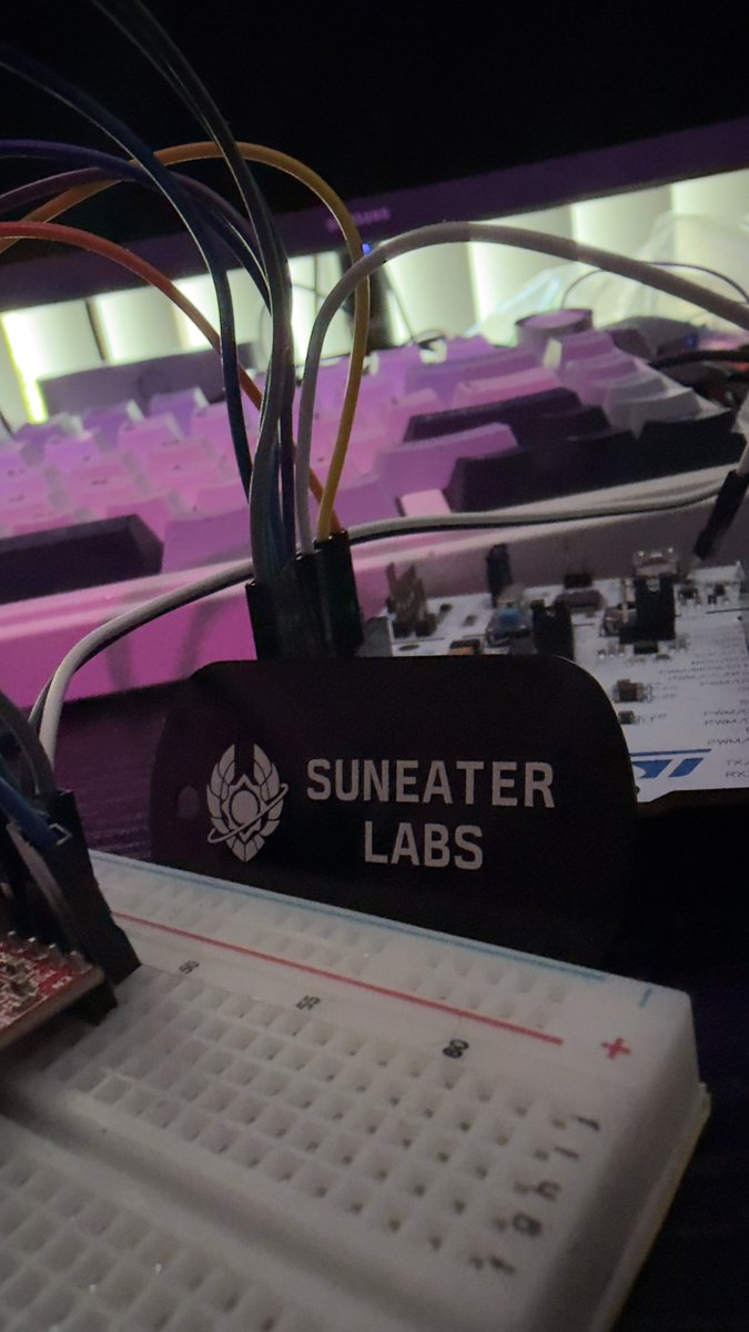 Phoenix𝕏 tweet media