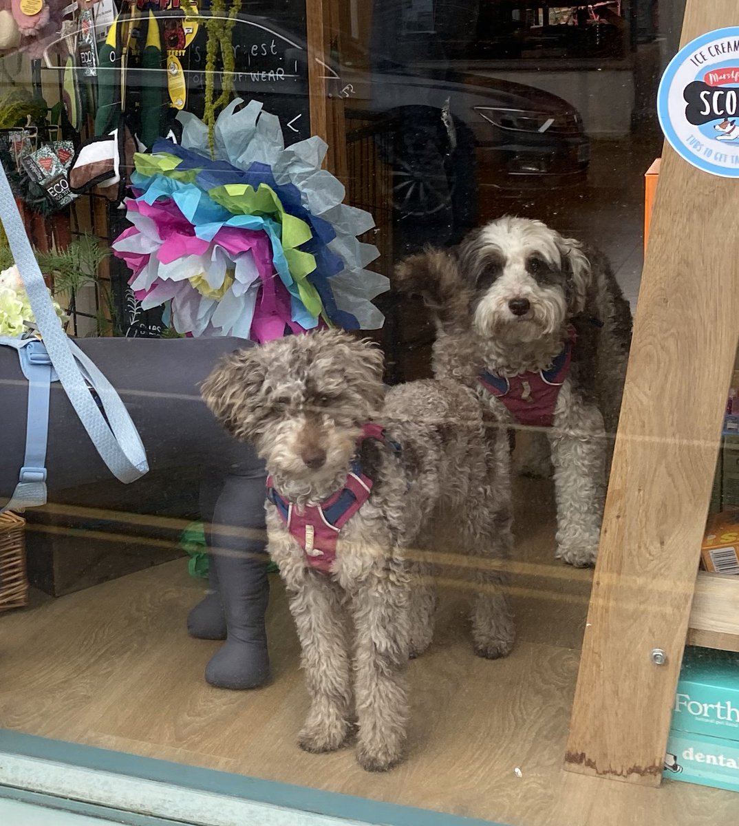 BeMoreBob tweet media