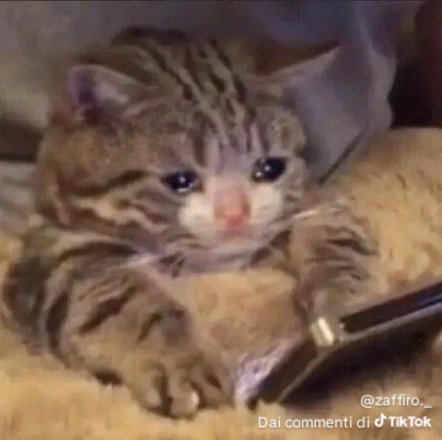 Samu273108's tweet photo. @TheAuthorMyBro @DiddlyDooter if Diddly draws a tung x cyn I'll cry,no one ever draws a gipsy danger x cyn *sobs* https://t.co/yBp0lehqWu