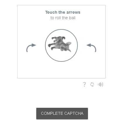 רוּדיך tweet media