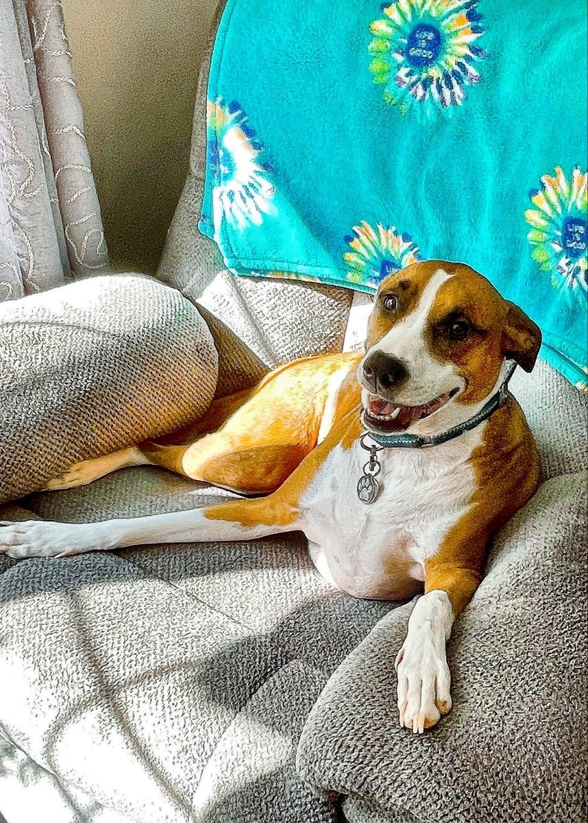 Kelly Rae Robertson tweet media