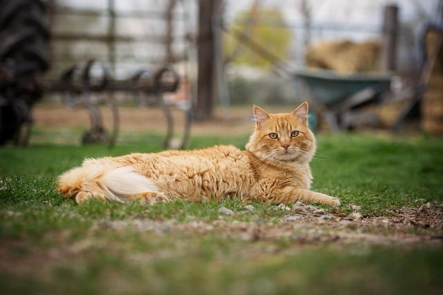 Tina Walker tweet media