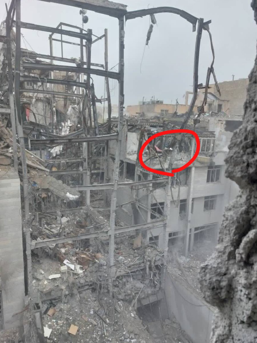 برهان مجد tweet media