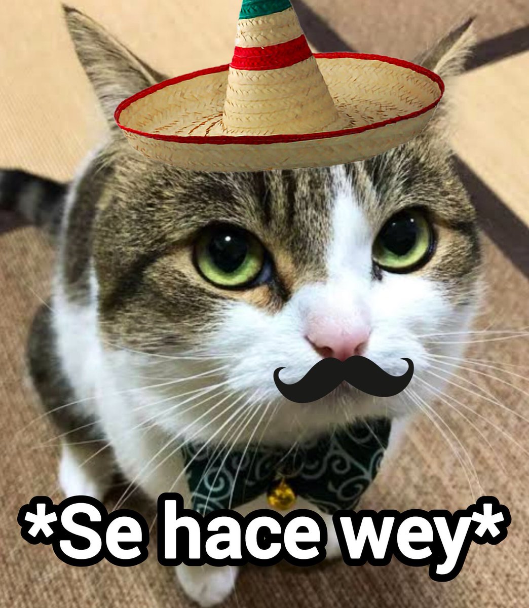 eidertoca's tweet photo. @meica05 https://t.co/gp4EtcCvEl