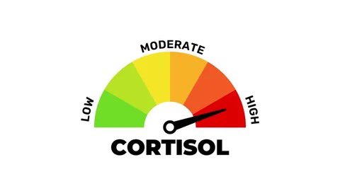 Cal Mart Enjoyer tweet media