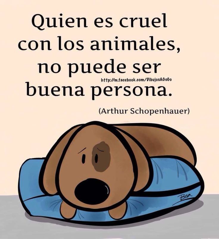 VIRGILIO GCÍA. J. tweet media