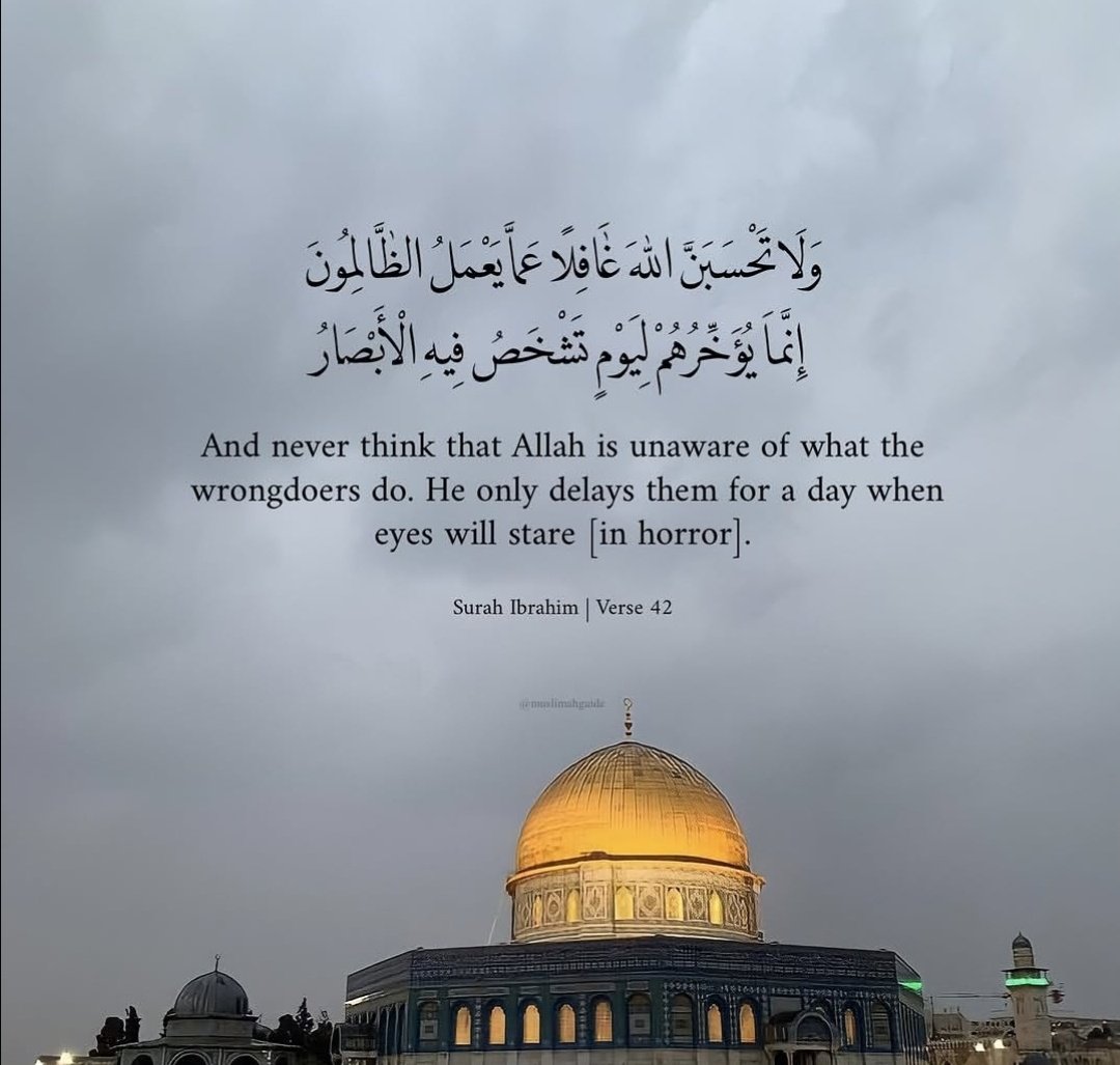 tamiii🇵🇸 tweet media