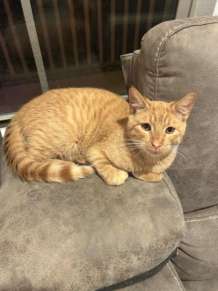 Afewcrayonsshort tweet media