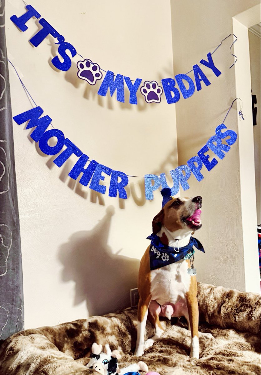 Kelly Rae Robertson tweet media