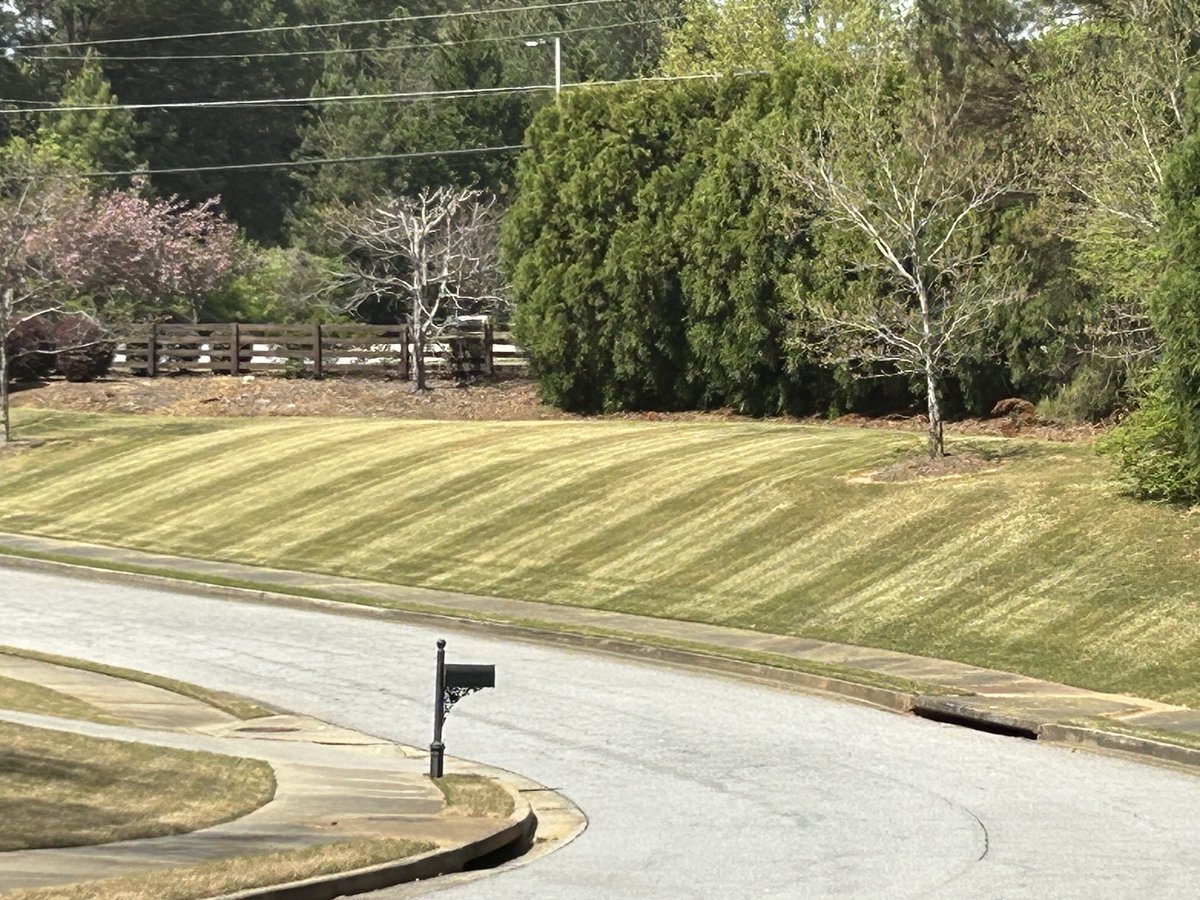 Justin (@senor3ringswitt) on Twitter photo 