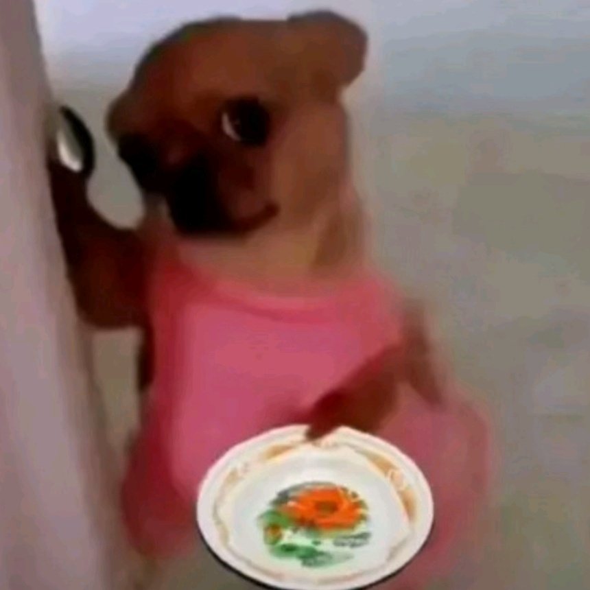 ‍ ‍ ‍ ‍ ‍‍ ‍、 ‍‍𐙚 𝙴𝚁𝙰𝚃𑁤 * tweet media