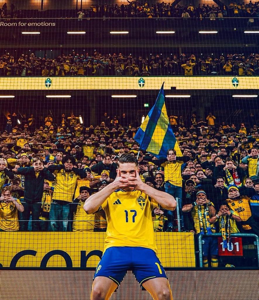 Bona King tweet media