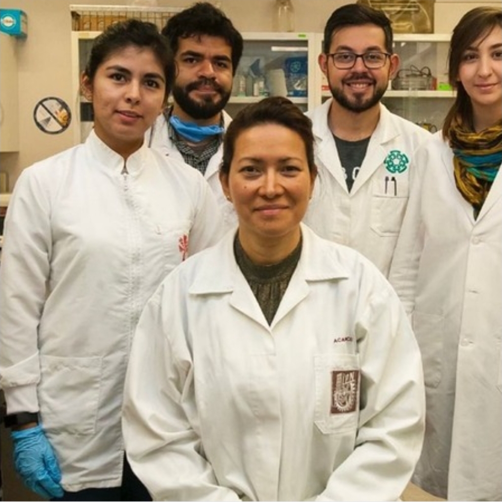 Enséñame de Ciencia tweet media