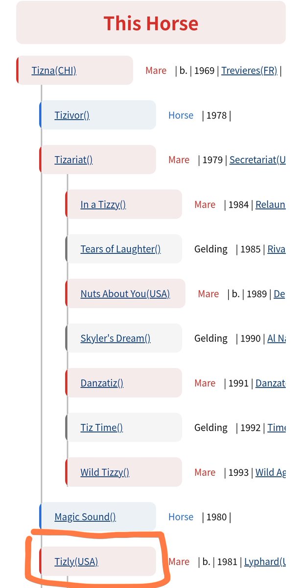 Fidelsan Black 🇮🇸 #rasca tweet media