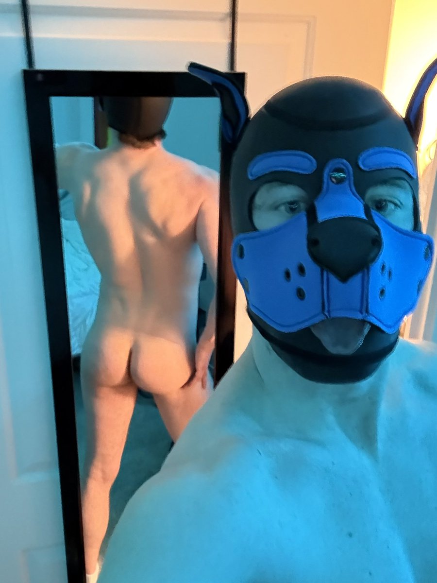 Pup Felix tweet media