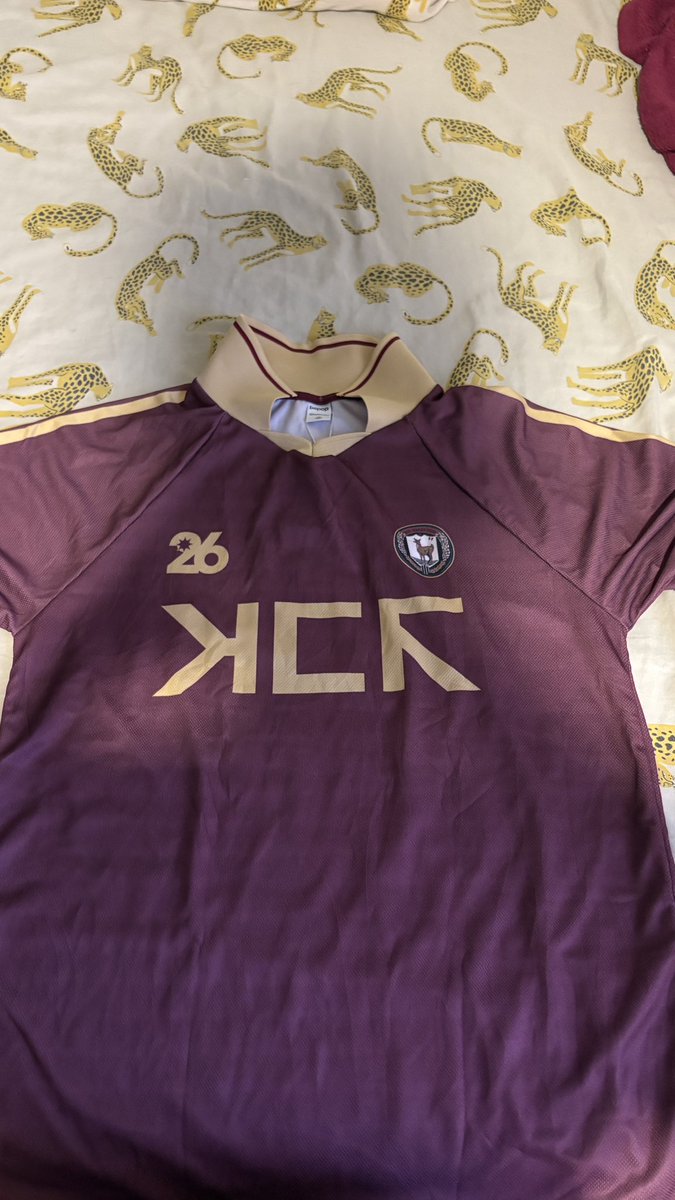 carol party poison da silva |-/ 🇵🇸 tweet media