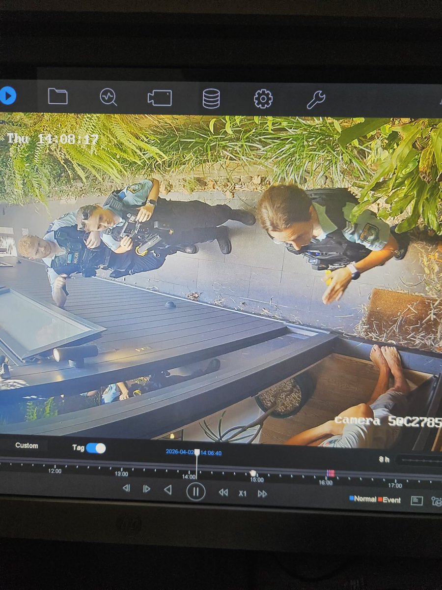 I did a thing tweet media