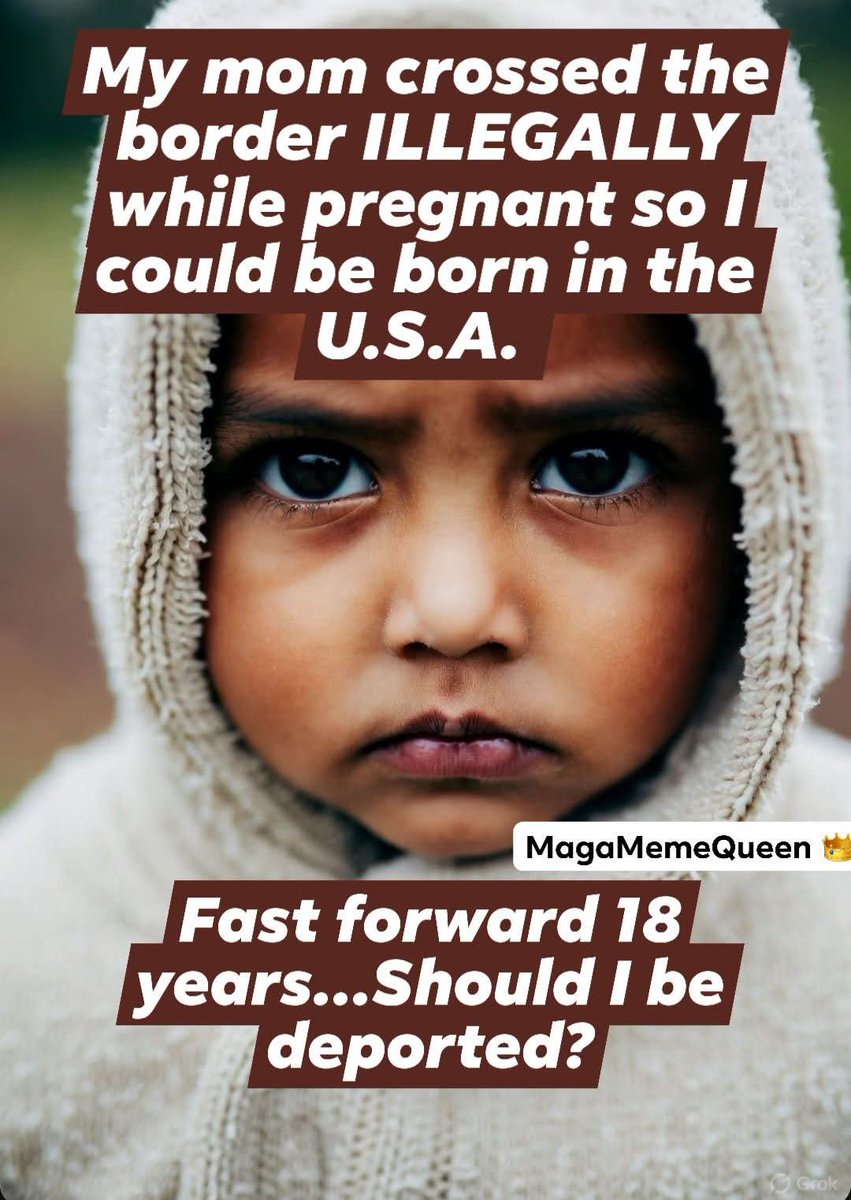 Anti Left Memes tweet media