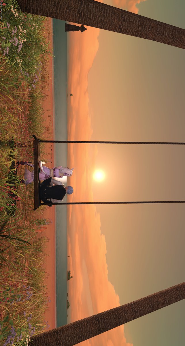 🐾 Mia *Meteor*🐈 tweet media