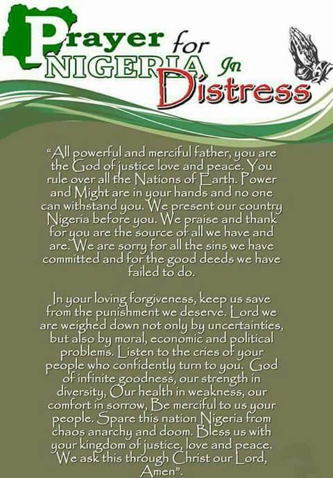 Mr Gerald 👑 tweet media