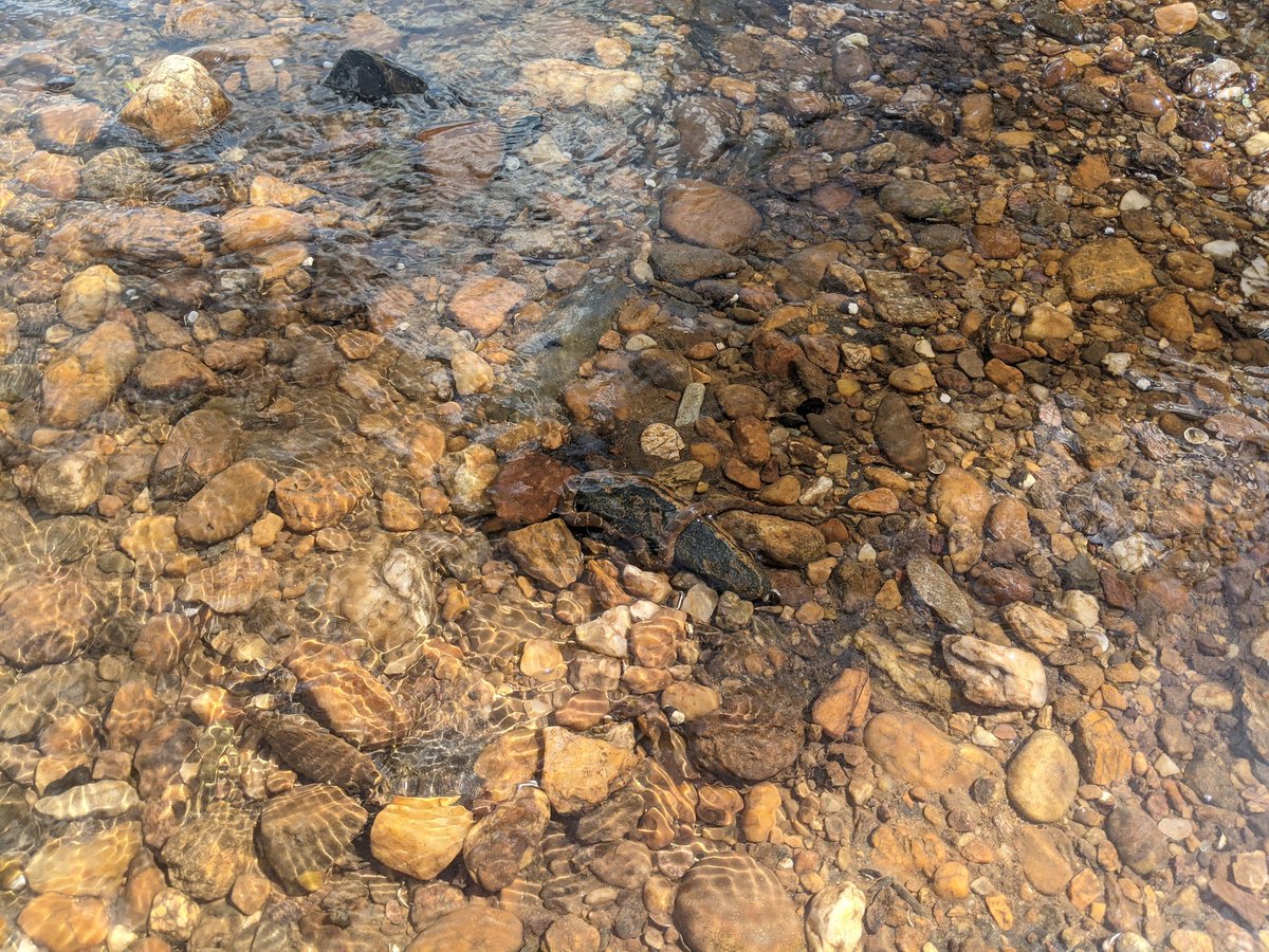 Wayne Mitchell tweet media