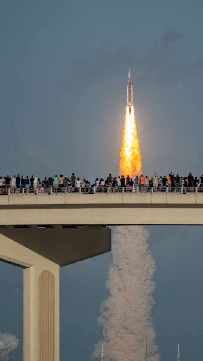 🌈KimInFL🌴 tweet media