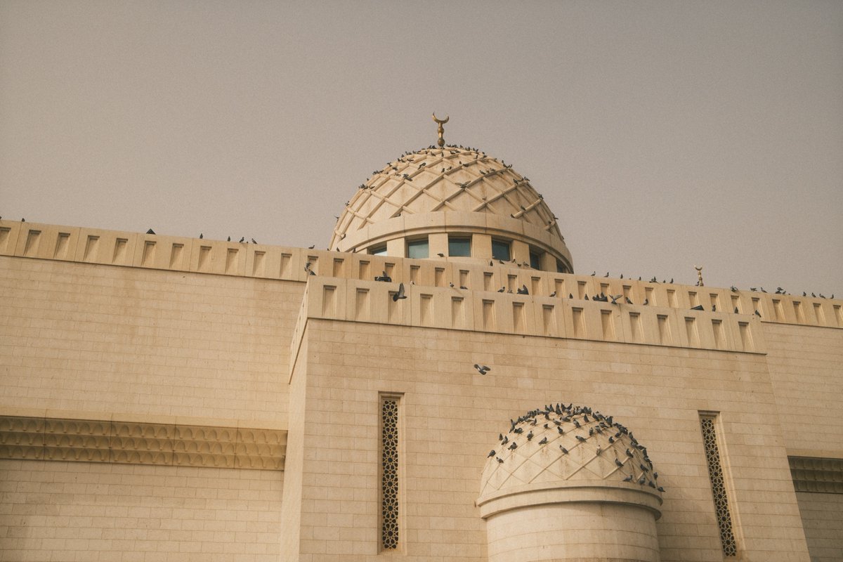 mountعlover tweet media