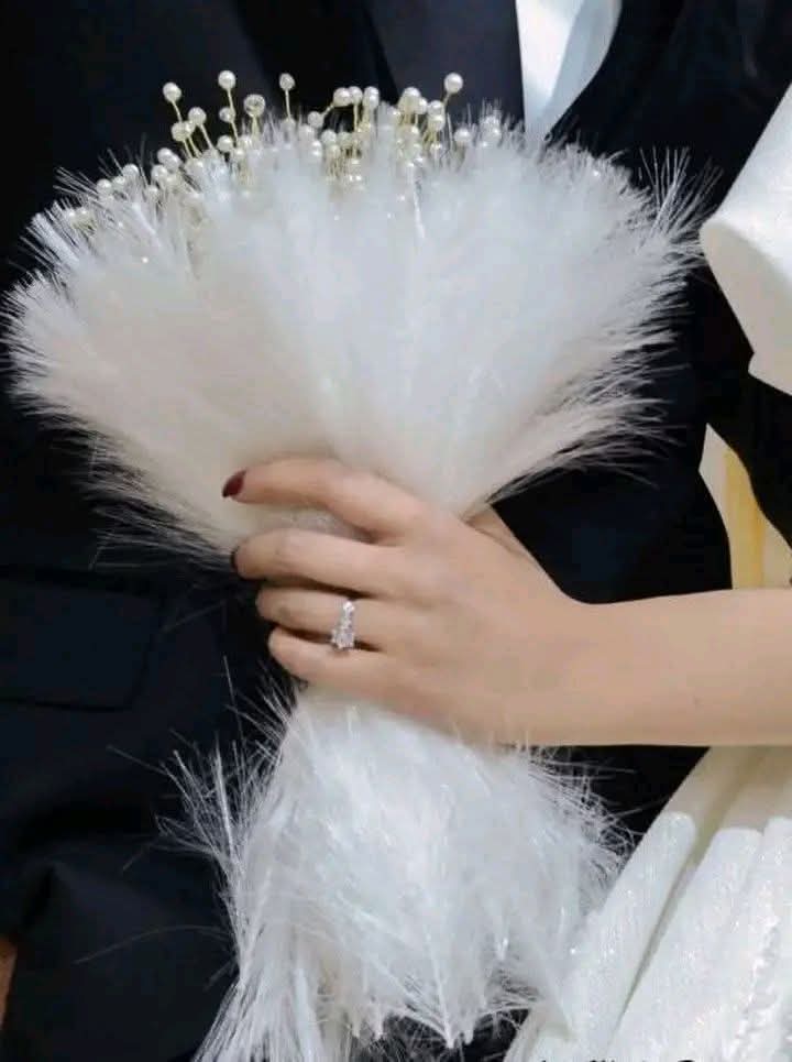 ألو أنا القطة tweet media