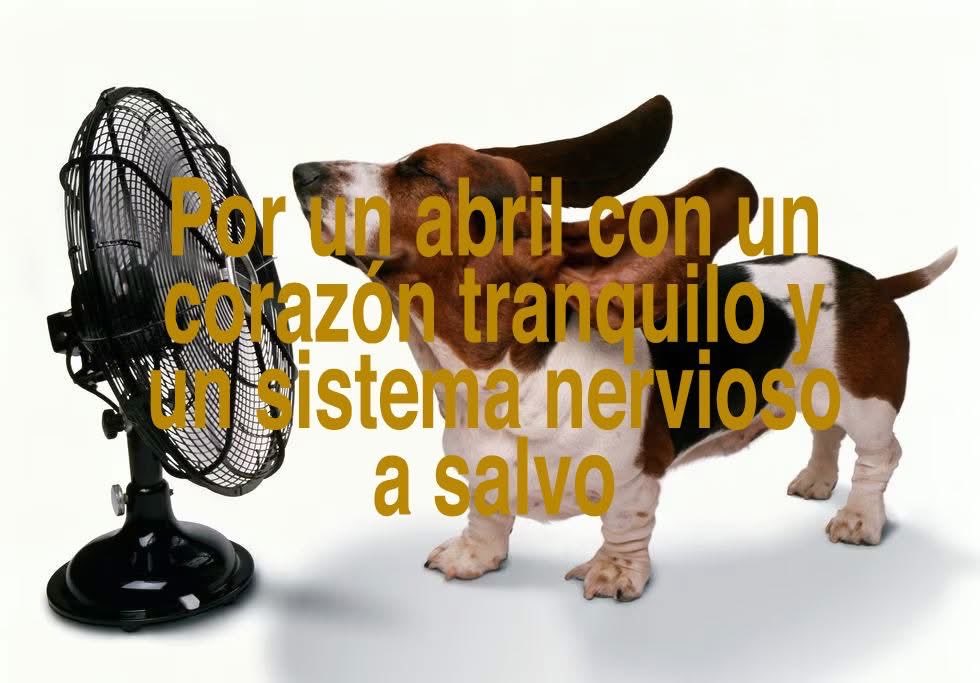 andrés. tweet media