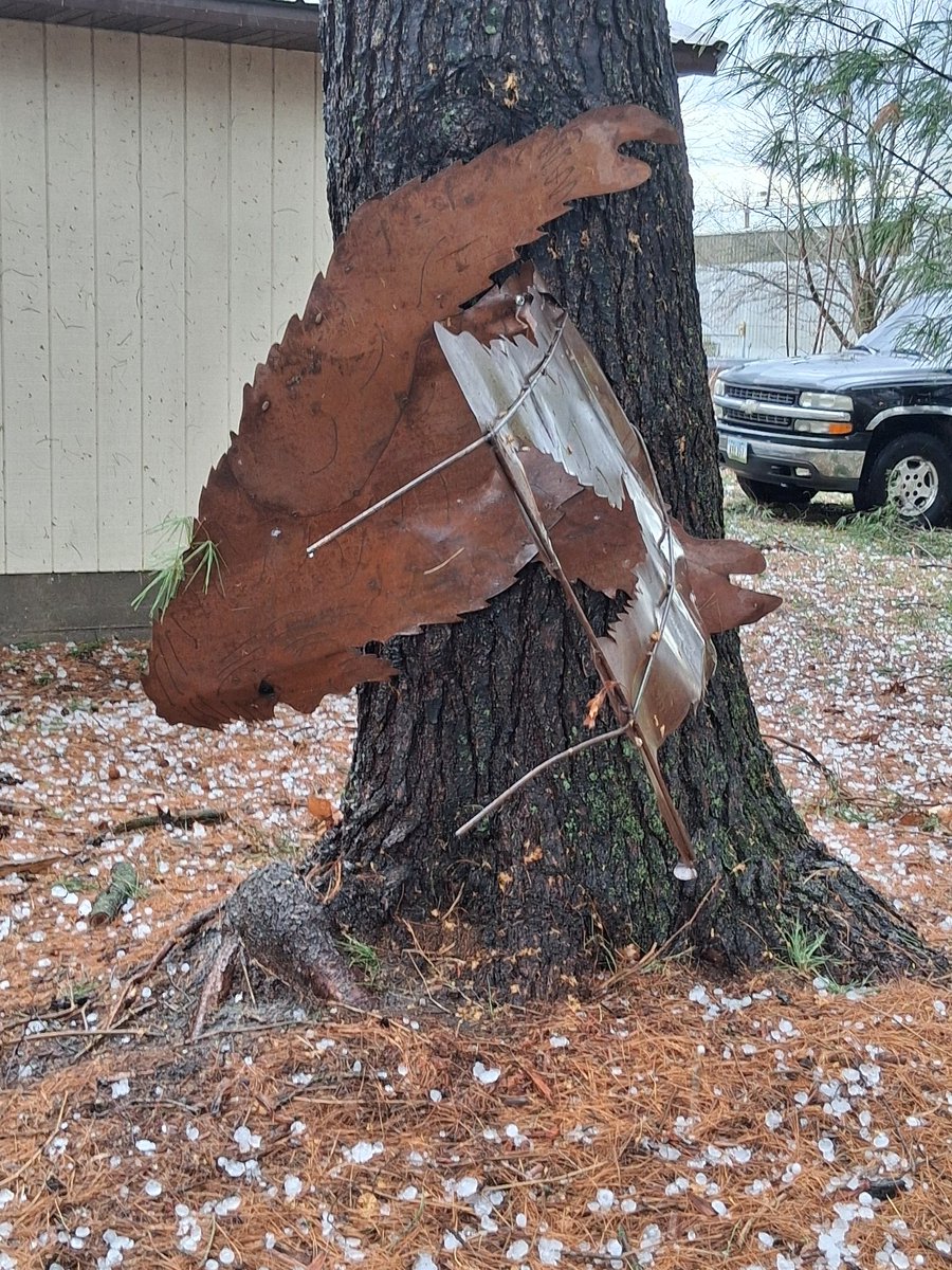 Storm blew through. This was a Bigfoot.