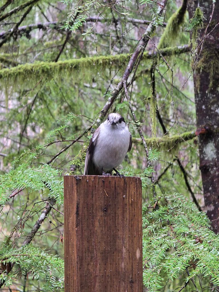 John R Bruning tweet media