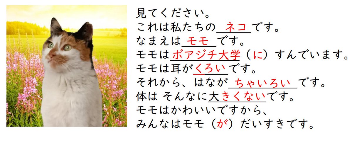 CANAVAR2 ᕦ⊙෴⊙ᕤ tweet media