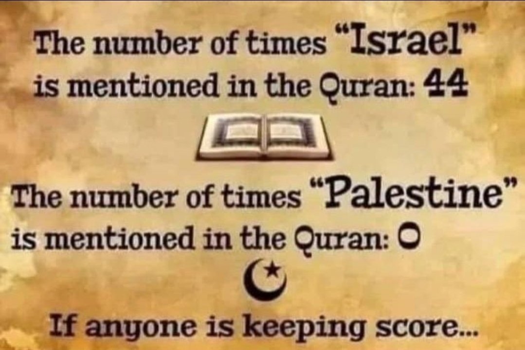 YAEL 🕎✨️🟧 tweet media