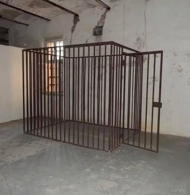 ᓚ Nyaa 𓆩♡𓆪 Angel ˖ ⟡ tweet media