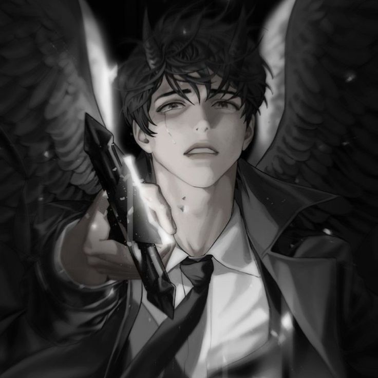 ‧˚꒰🐾୭ ˚. ᵎᵎ𝐒𝒶𝒾𝓃𝒹ℴ ⚢ tweet media