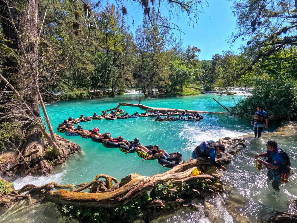 El Universal San Luis Potosí tweet media