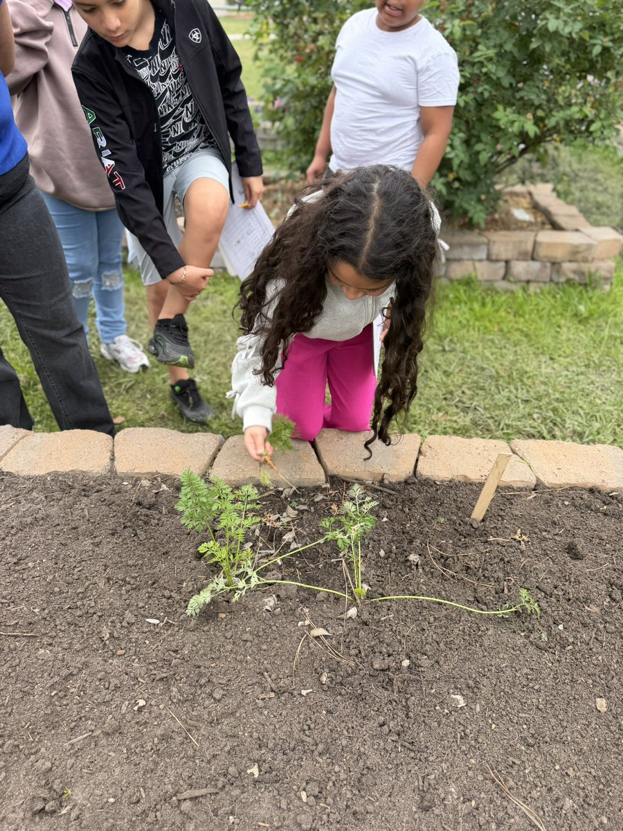 Celise Hamann tweet media