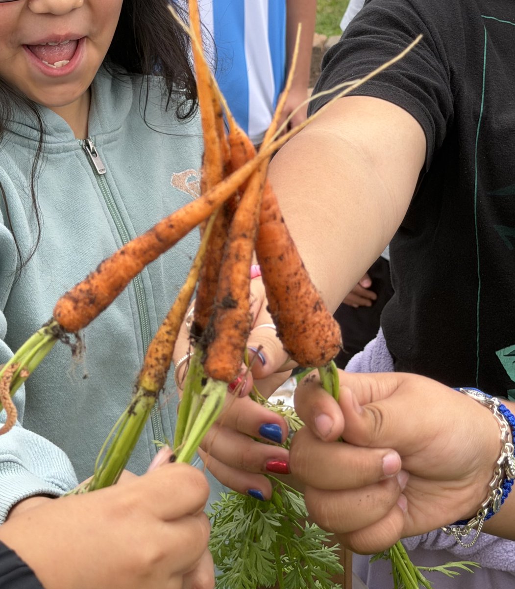 Celise Hamann tweet media