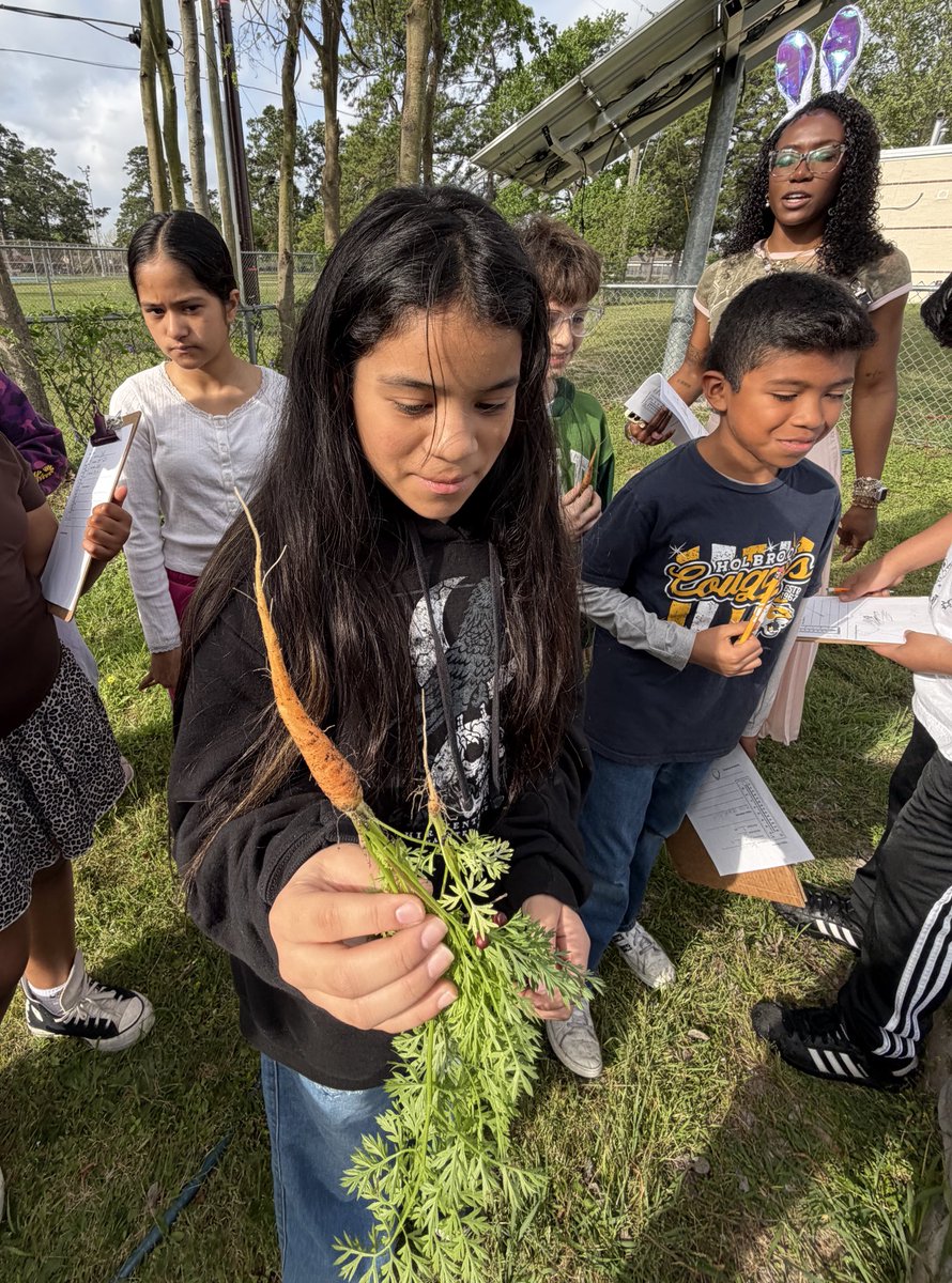 Celise Hamann tweet media