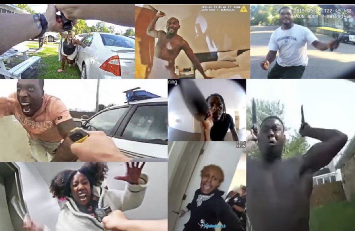 stfuputo tweet media