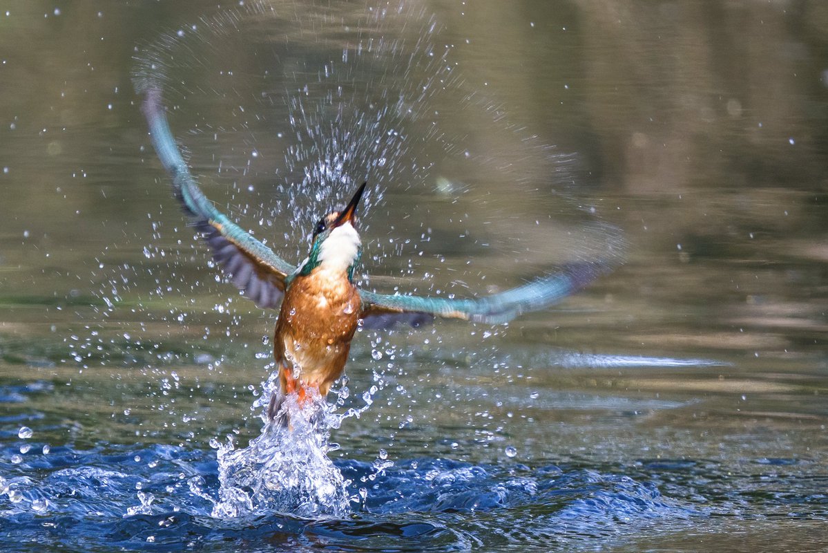 Andy Johnson tweet media