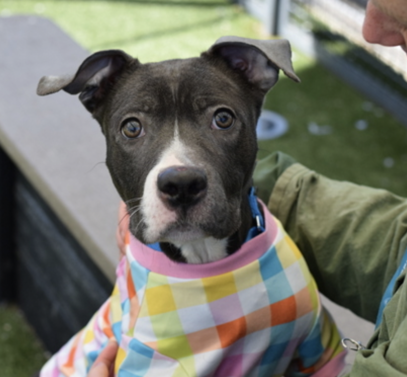 Tootsismyname🏴‍☠️ tweet media