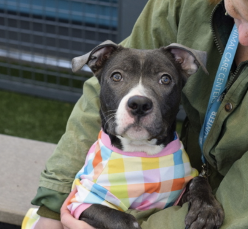 Tootsismyname🏴‍☠️ tweet media