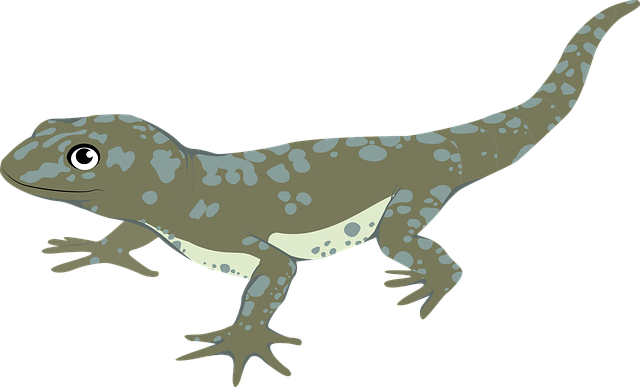 Elvin Santos tweet media