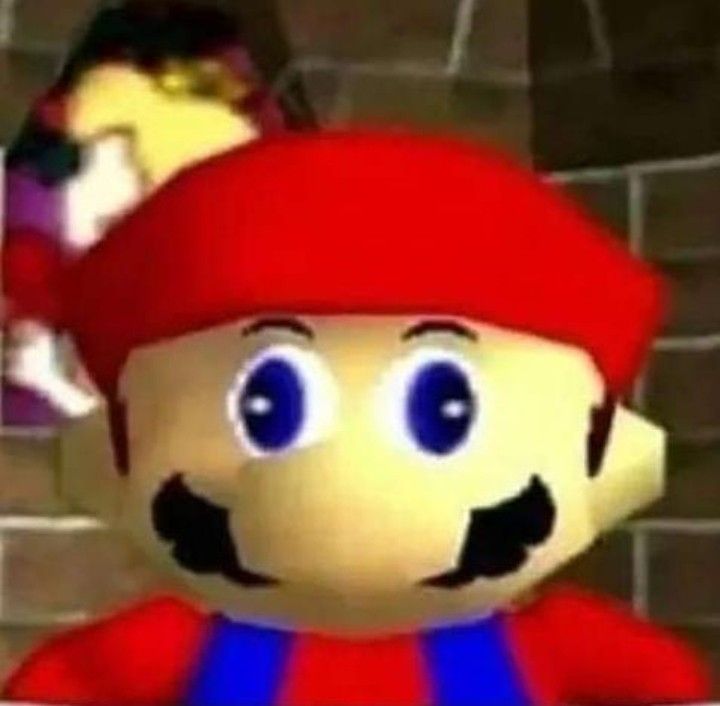 Musical cat 😺🎶 tweet media