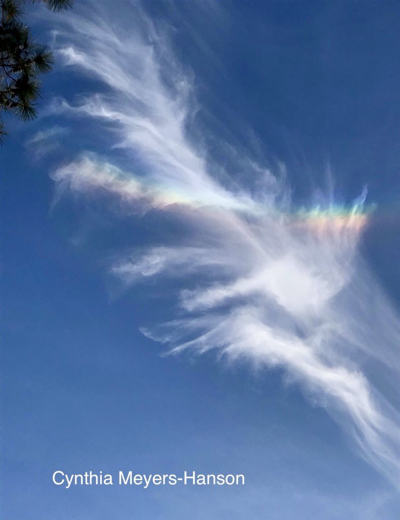 Sky-Princess-Cindy tweet media