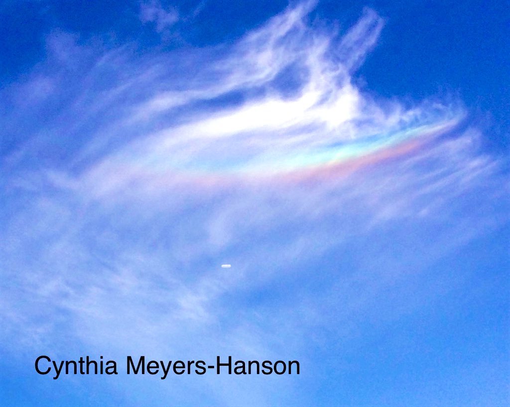 Sky-Princess-Cindy tweet media