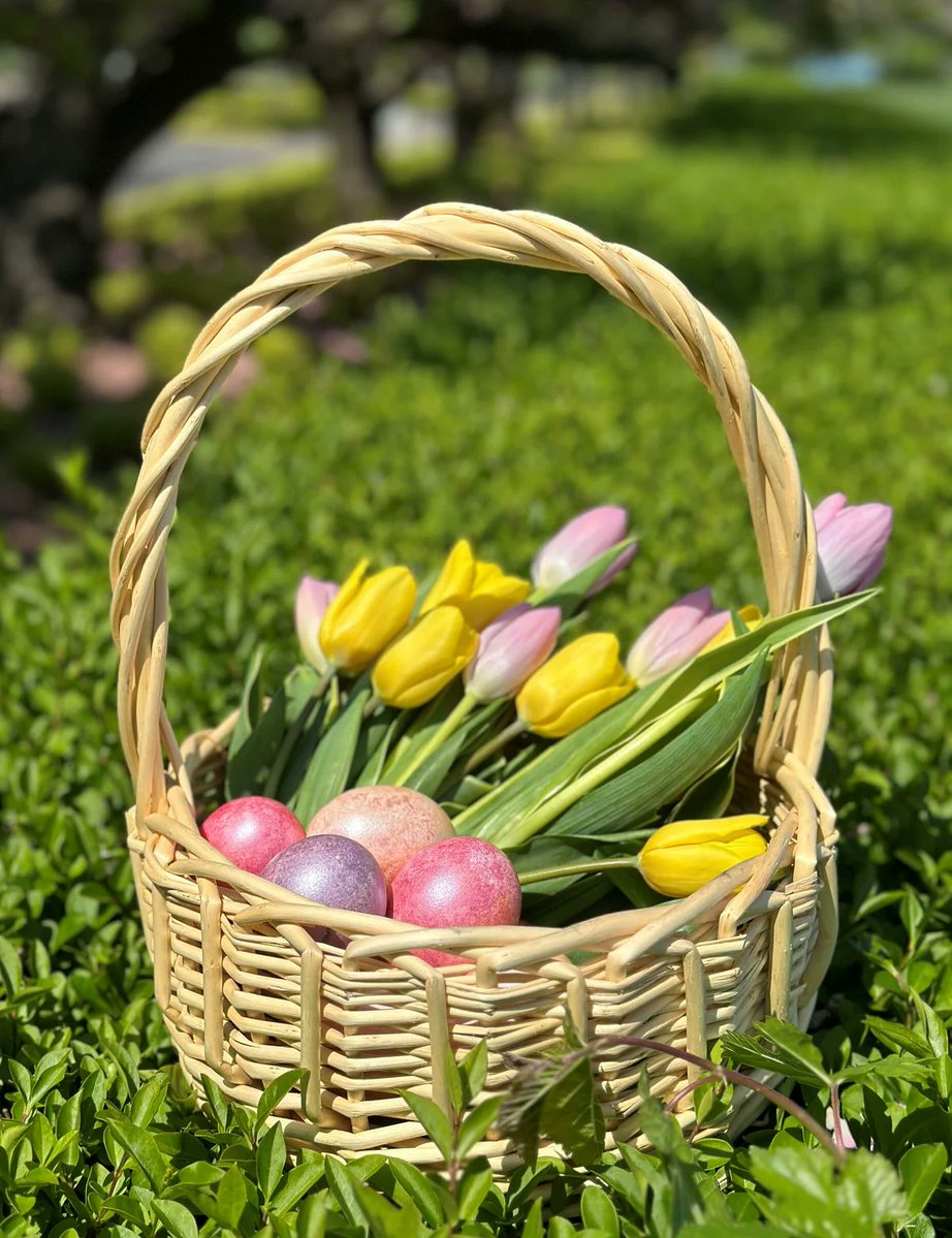 Nations Unies (ONU) tweet media