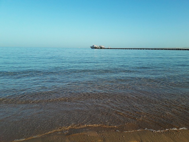 Kim Butts tweet media